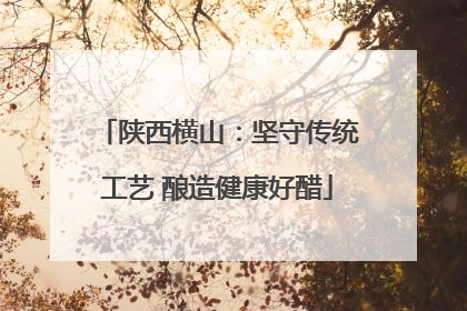 陕西横山：坚守传统工艺 酿造健康好醋