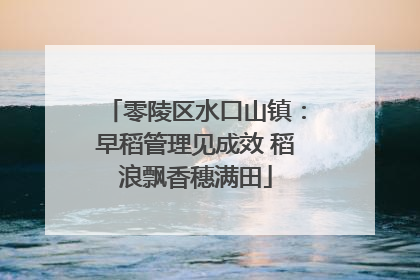 零陵区水口山镇：早稻管理见成效 稻浪飘香穗满田