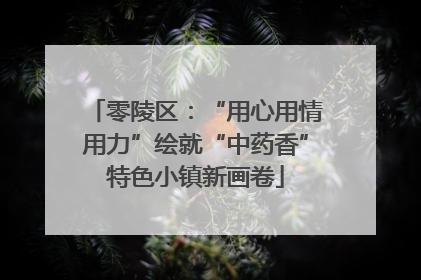零陵区：“用心用情用力”绘就“中药香”特色小镇新画卷