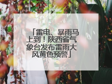 雷电、暴雨马上到！陕西省气象台发布雷雨大风黄色预警