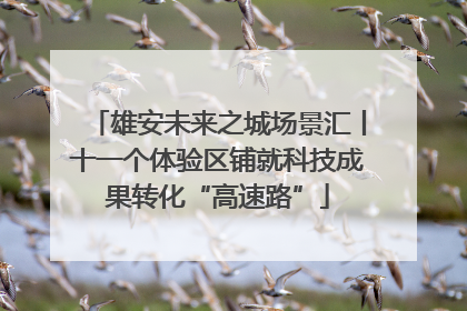 雄安未来之城场景汇丨十一个体验区铺就科技成果转化“高速路”