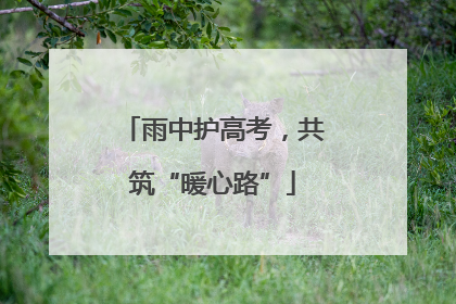 雨中护高考，共筑“暖心路”