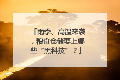 雨季、高温来袭，粮食仓储要上哪些“黑科技”？