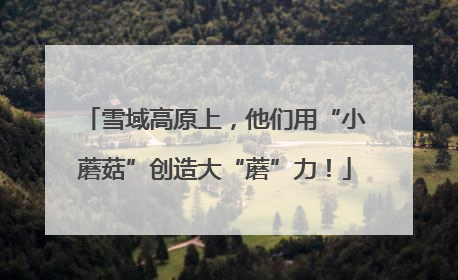 雪域高原上，他们用“小蘑菇”创造大“蘑”力！