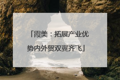 霞美：拓展产业优势内外贸双翼齐飞