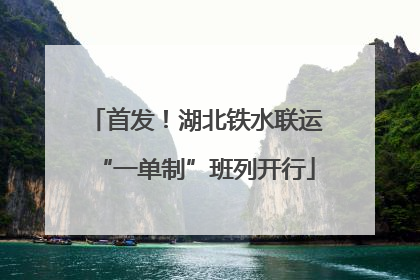 首发！湖北铁水联运“一单制”班列开行