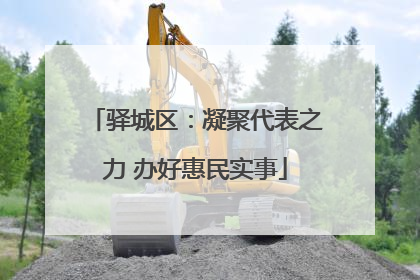 驿城区：凝聚代表之力 办好惠民实事