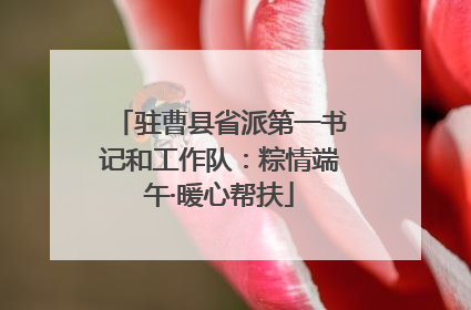 驻曹县省派第一书记和工作队：粽情端午·暖心帮扶