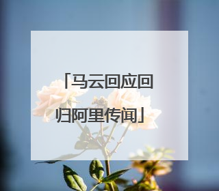 马云回应回归阿里传闻