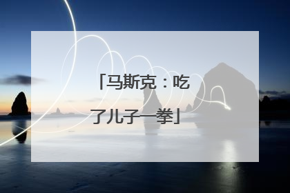 马斯克：吃了儿子一拳