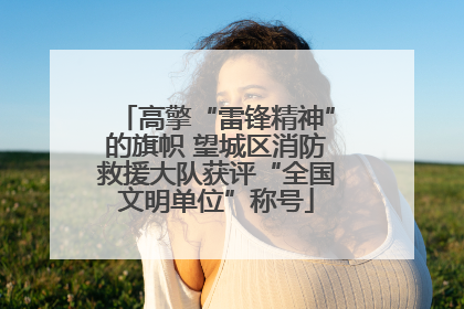 高擎“雷锋精神”的旗帜 望城区消防救援大队获评“全国文明单位”称号