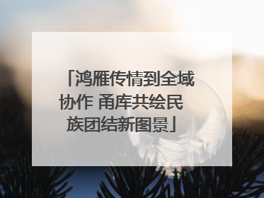 鸿雁传情到全域协作 甬库共绘民族团结新图景