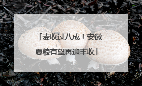 麦收过八成！安徽夏粮有望再迎丰收