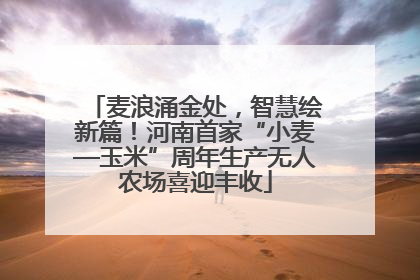 麦浪涌金处，智慧绘新篇！河南首家“小麦—玉米”周年生产无人农场喜迎丰收