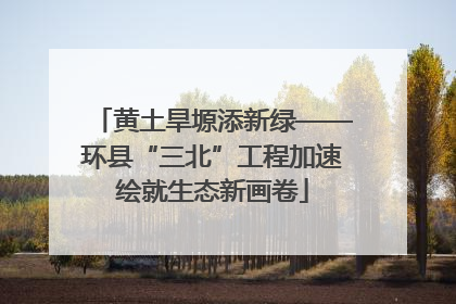 黄土旱塬添新绿——环县“三北”工程加速绘就生态新画卷
