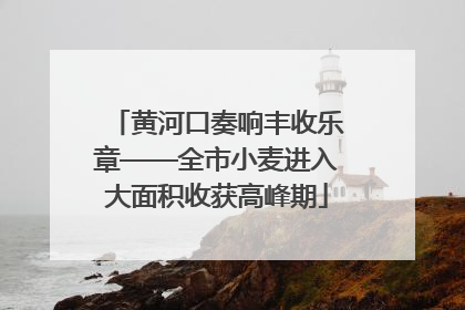 黄河口奏响丰收乐章——全市小麦进入大面积收获高峰期