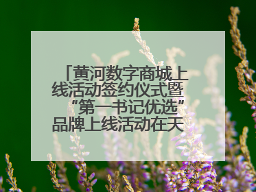 黄河数字商城上线活动签约仪式暨“第一书记优选”品牌上线活动在天桥区举行