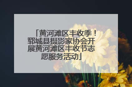 黄河滩区丰收季！郓城县摄影家协会开展黄河滩区丰收节志愿服务活动