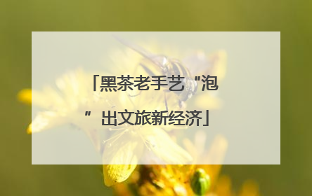 黑茶老手艺“泡”出文旅新经济