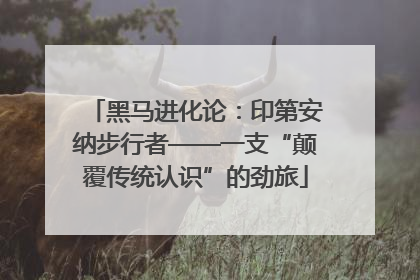 黑马进化论：印第安纳步行者——一支“颠覆传统认识”的劲旅