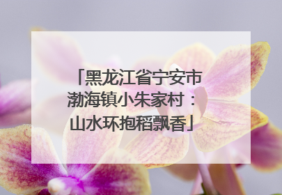 黑龙江省宁安市渤海镇小朱家村：山水环抱稻飘香
