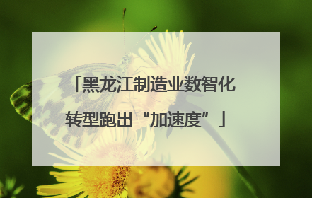 黑龙江制造业数智化转型跑出“加速度”