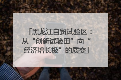黑龙江自贸试验区：从“创新试验田”向“经济增长极”的质变