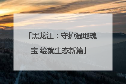 黑龙江：守护湿地瑰宝 绘就生态新篇