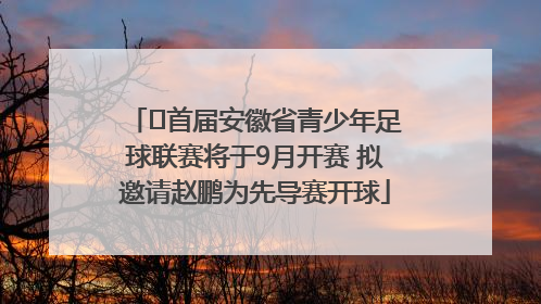 ﻿首届安徽省青少年足球联赛将于9月开赛 拟邀请赵鹏为先导赛开球