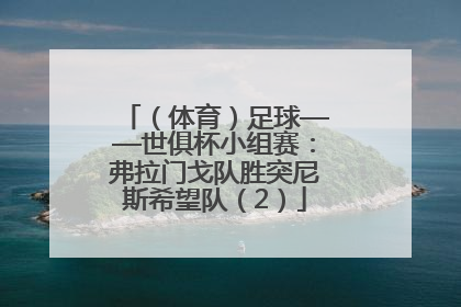 （体育）足球——世俱杯小组赛：弗拉门戈队胜突尼斯希望队（2）