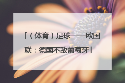 （体育）足球——欧国联：德国不敌葡萄牙
