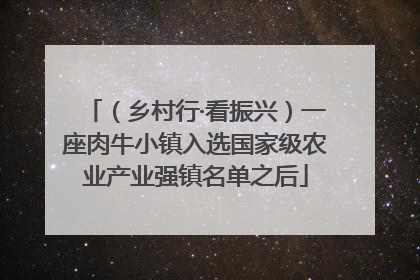 （乡村行·看振兴）一座肉牛小镇入选国家级农业产业强镇名单之后