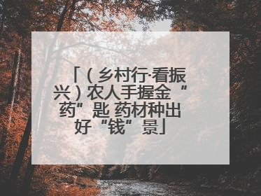 （乡村行·看振兴）农人手握金“药”匙 药材种出好“钱”景