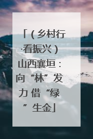 （乡村行·看振兴）山西襄垣：向“林”发力 借“绿”生金