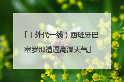 （外代一线）西班牙巴塞罗那遭遇高温天气