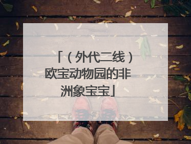 （外代二线）欧宝动物园的非洲象宝宝