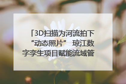 3D扫描为河流拍下“动态照片” 琼江数字孪生项目赋能流域管理｜新闻发布最前线