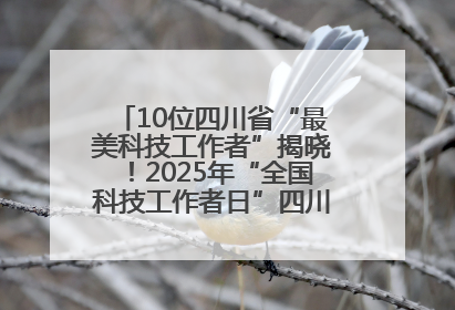 10位四川省“最美科技工作者”揭晓！2025年“全国科技工作者日”四川主场活动举行