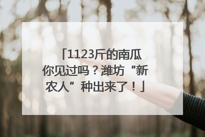 1123斤的南瓜你见过吗？潍坊“新农人”种出来了！