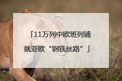 11万列中欧班列铺就亚欧“钢铁丝路”