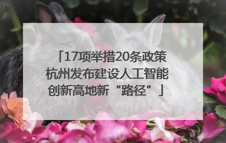 17项举措20条政策 杭州发布建设人工智能创新高地新“路径”