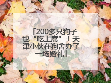 200多只狗子也“吃上席”！天津小伙在狗舍办了一场婚礼