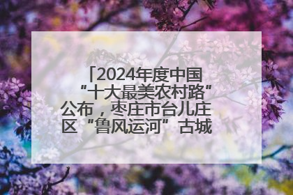 2024年度中国“十大最美农村路”公布，枣庄市台儿庄区“鲁风运河”古城文化廊道上榜！