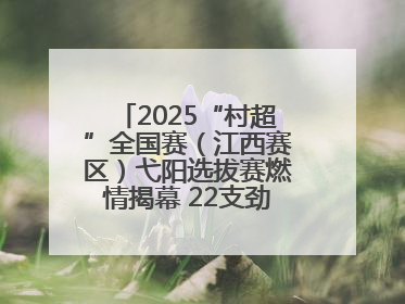 2025“村超”全国赛（江西赛区）弋阳选拔赛燃情揭幕 22支劲旅绿茵逐梦