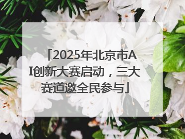 2025年北京市AI创新大赛启动，三大赛道邀全民参与