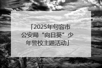2025年句容市公安局“向日葵”少年警校主题活动