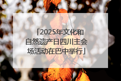2025年文化和自然遗产日四川主会场活动在巴中举行