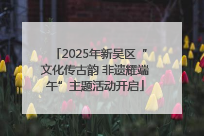 2025年新吴区“文化传古韵 非遗耀端午”主题活动开启