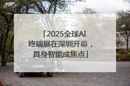 2025全球AI终端展在深圳开幕，具身智能成焦点