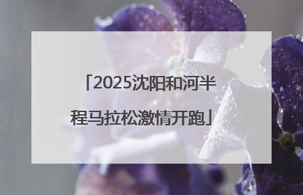 2025沈阳和河半程马拉松激情开跑